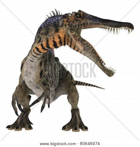 Dinosaur Spinosaurus