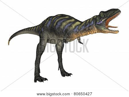 Dinosaur Aucasaurus