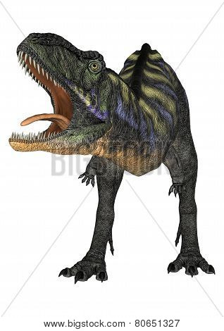 Dinosaur Aucasaurus