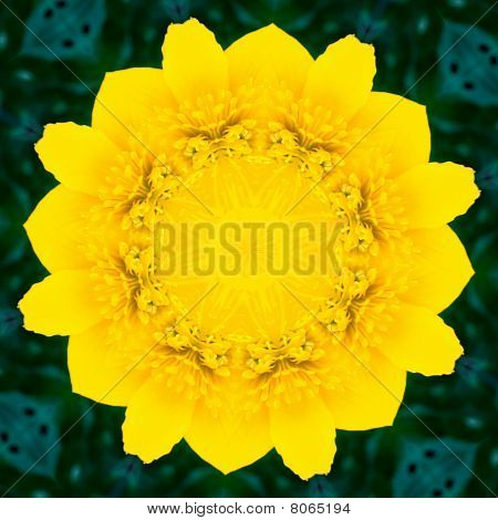 Fleur Kaléidoscope ressemblant à un Mandala