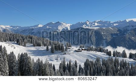 View Of The Ski Area Braunwald