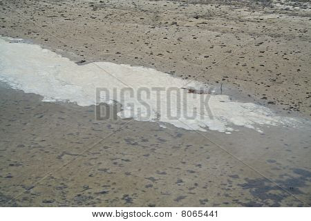 BP petrol sızıntısı