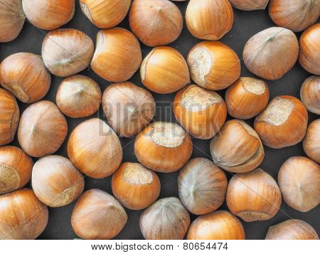 Hazelnut Fruit