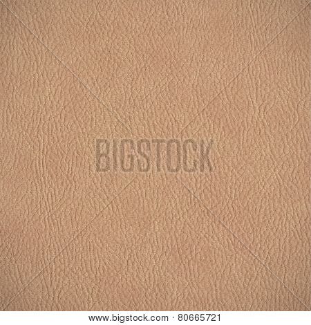 Leather texture. horizontal background. Vector
