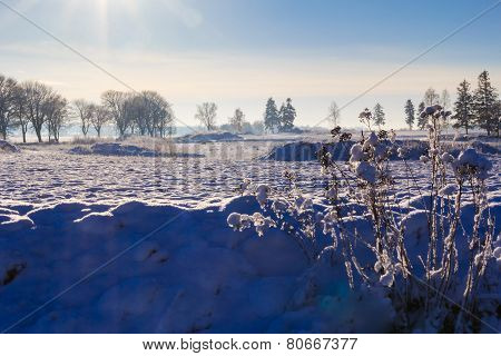 Winter Landscape View Fields Forests Covered Snow