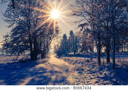 Winter Landscape View Fields Forests Covered Snow Rays Sun