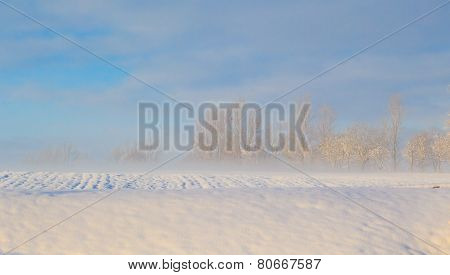 Winter Landscape View Fields Forests Covered Snow Fog