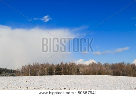 Winter Landscape View Fields Forests Covered Snow