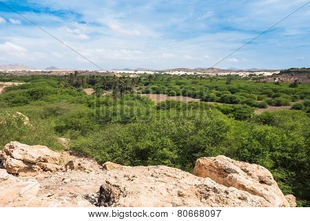 Oasis Near  Viana Desert, Boavista - Cape Verde
