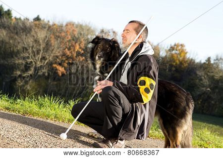 Guide Dog Is Attentive