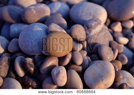 Wet pebbles on the beach at sunset