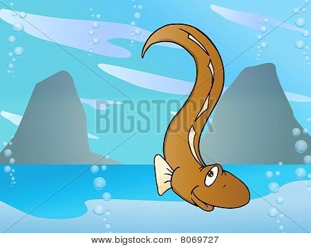 Fisk muränor