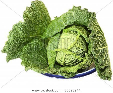 Green Cabbage Just Picking From The Garden On The Tray In The Kitchen