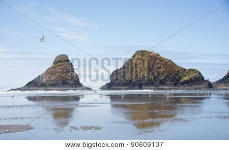 Heceta Beach