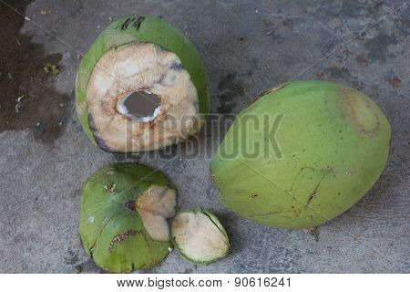 Coconut