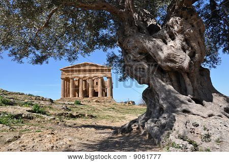 Tempel In Agrigent In Sizilien