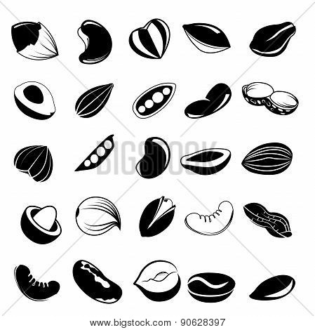 nut and seed icons