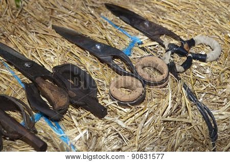 Shearing Scisors With Cork Protection For Fingers