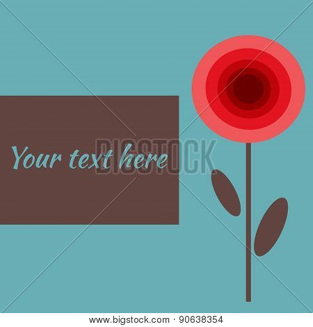 Red Poppy
