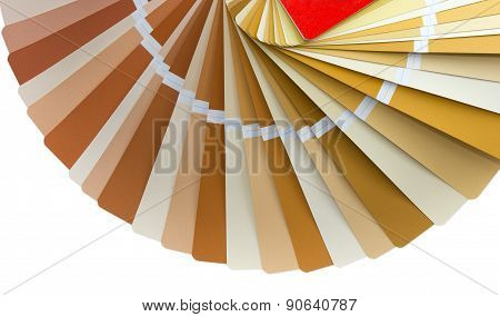 Color Palette Guide 4