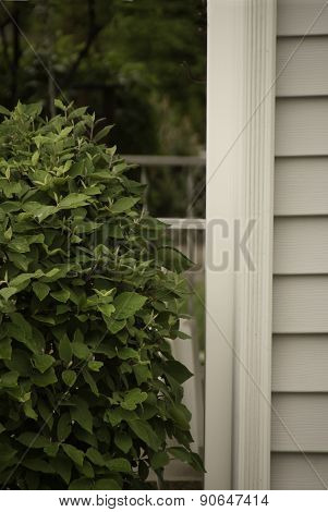 Bush And Post