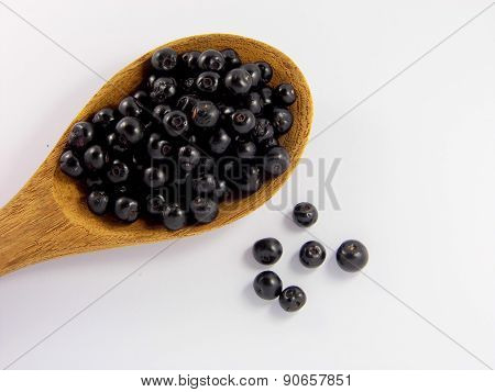 Jambolan plum or Java plum