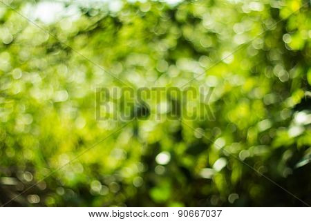 Bokeh