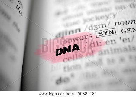 Text DNA as background