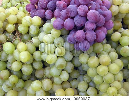 white and black grapes