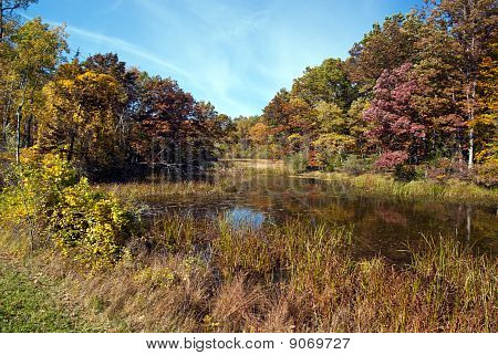 Lago circundante desierto