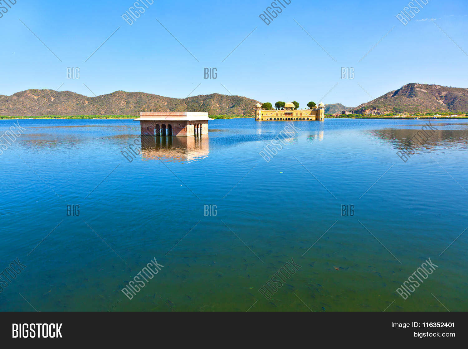 Image Preview