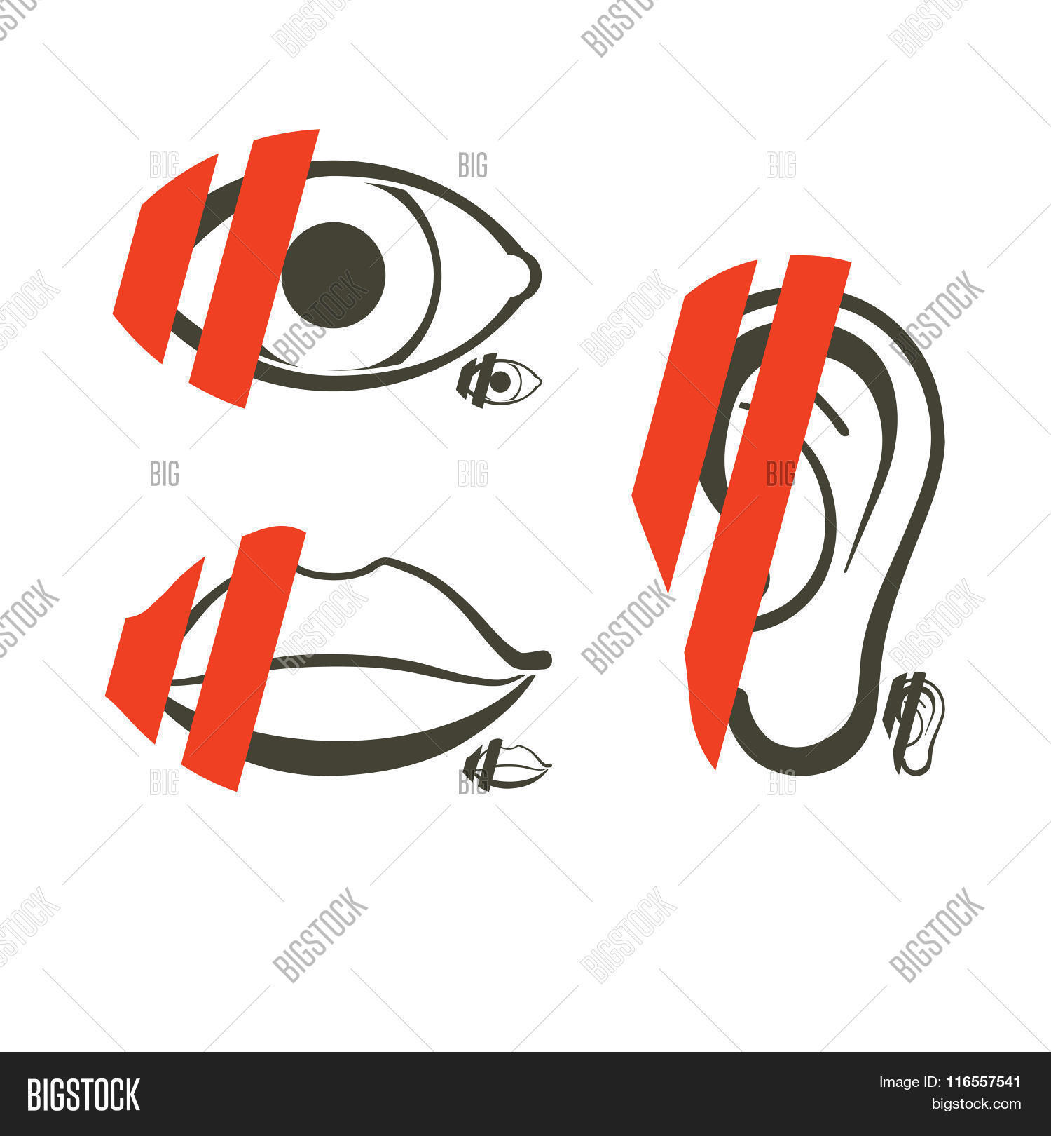 Image Preview