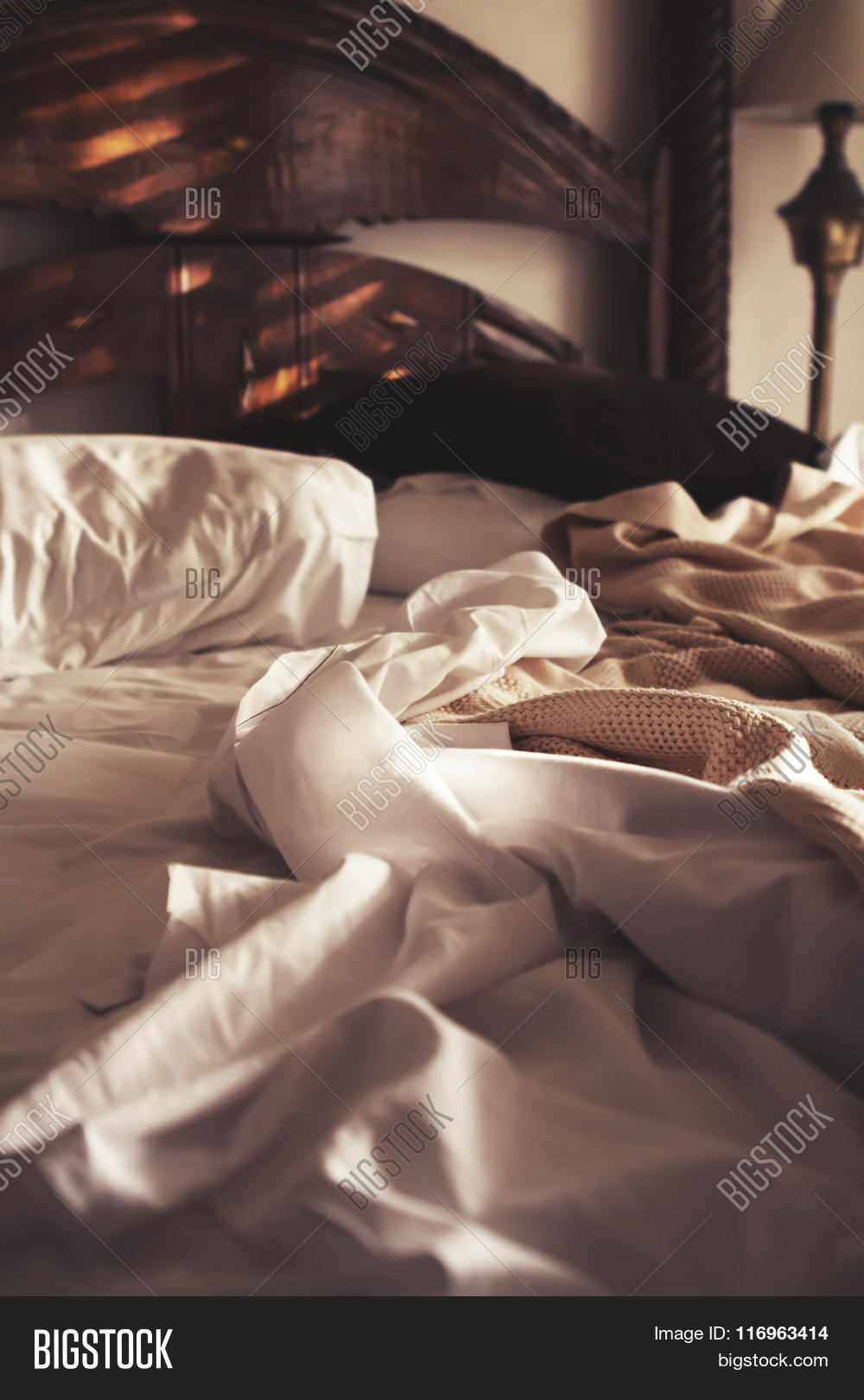 Morning Sunlight On Image & Photo (Free Trial) | Bigstock