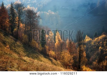 Foggy And Sunny Day Of A Autumn, On Wild Transylvania Hills. Holbav. Romania. Low Key, Dark Backgrou