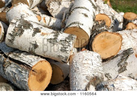 Wood Logs