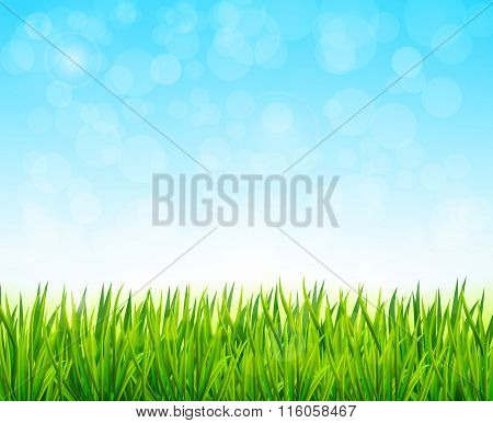 Nature Background Vector