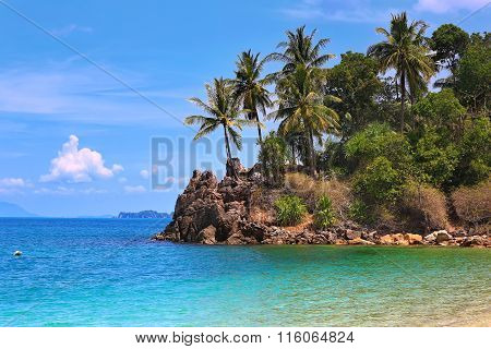Wild tropical beach with rocks and palm trees on the island of Koh Lanta, Thailand