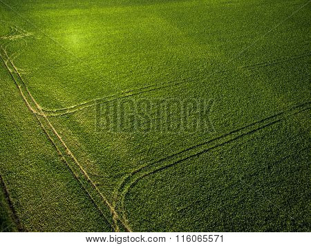 Farmland from above - aerial image of a lush green filed