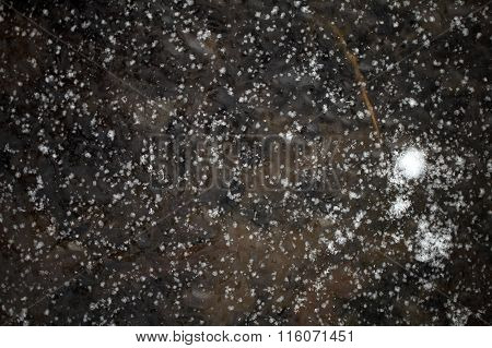 Ice Surface With Bubbles