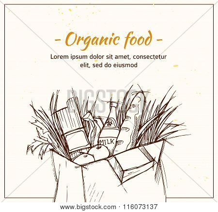Hand Drawn Vector Illustration - Supermarket Shopping Bag With Organic Food. Grocery Store.