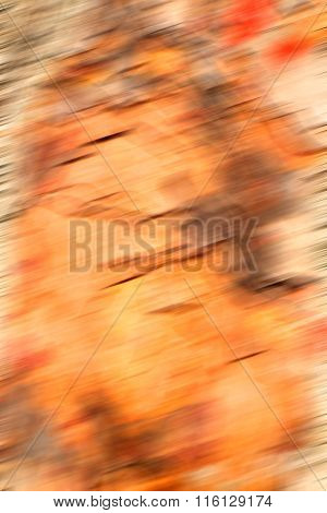 Barck In The Abstract Close Up Of A Tree Color And Texture