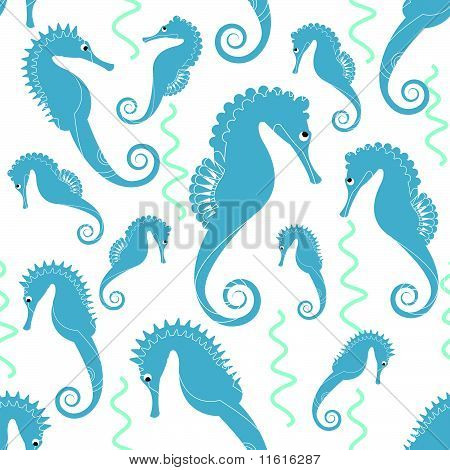 modello Sea horse