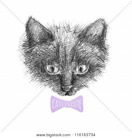 cat face sketch
