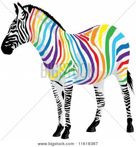 Zebra. Streifen in verschiedenen Farben.