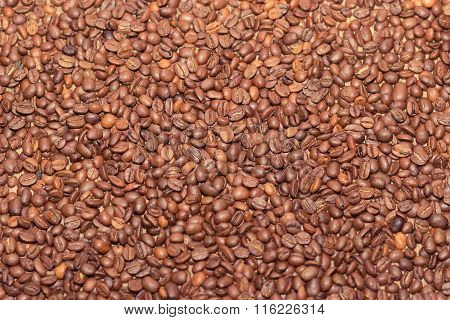 Rosted Brown Cofee Beans, Background, Close Up