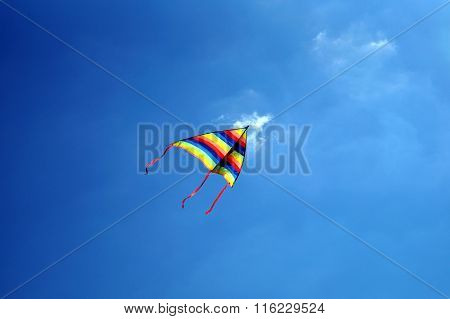 kite