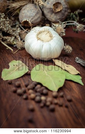 Still life with garlic