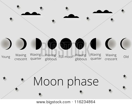 The Phases Of The Moon. Vector Illustration.