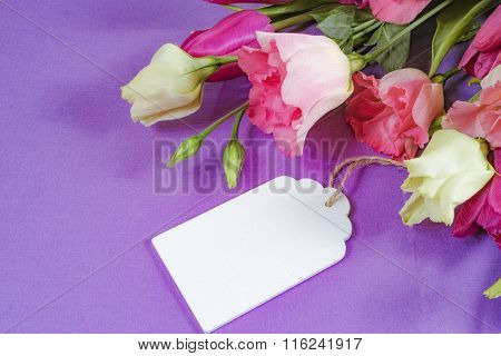 Pink and white flowers on purple background, postcard concept, copy space