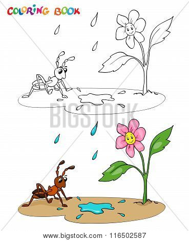 Coloring Book Or Page. Flower Daisy With Ant, It's Raining.